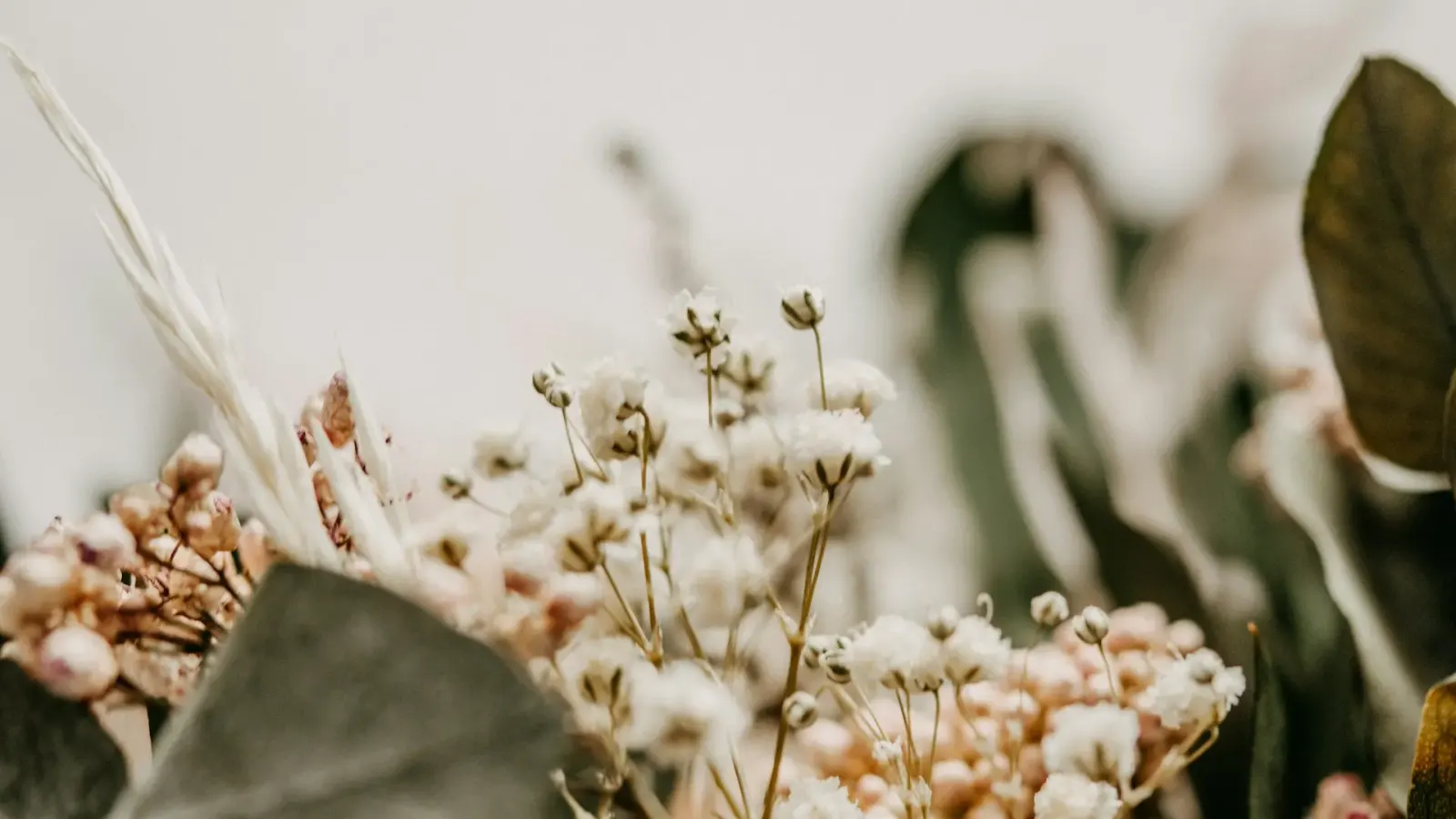 Grief Doesn't Follow a Timeline. Neither Do We.